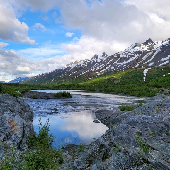 Meet your Posher, Charlie - Picture 9 of 12